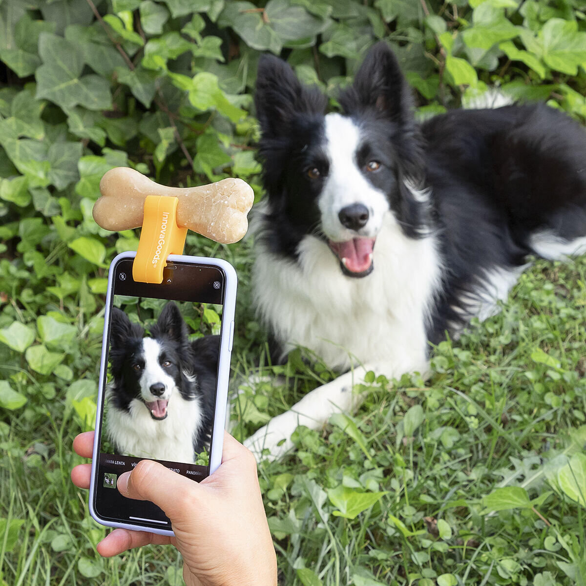 Clip de Selfies para Mascotas Pefie InnovaGoods